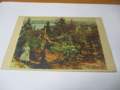 Järnefelt Kolivaara *