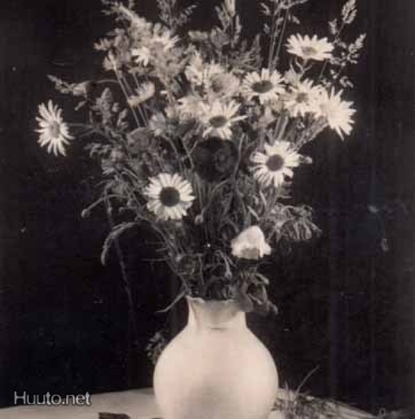 KUKKIA / Päivänkakkaroita ja kesäheiniä. 1930-l.