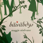 MAGGIE STIEFVATER: HÄIVÄHDYS - pikkukuva 1