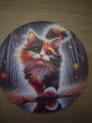 Kissa jääkaappimagneetti.