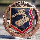 Pronssivärinen Karjalaliiton merkki. Halkaisija - 23 mm. - pikkukuva 2