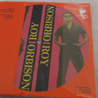 Roy Orbison ooby dooby 7 45 Tanska 1987 Kuvalevy - pikkukuva 2