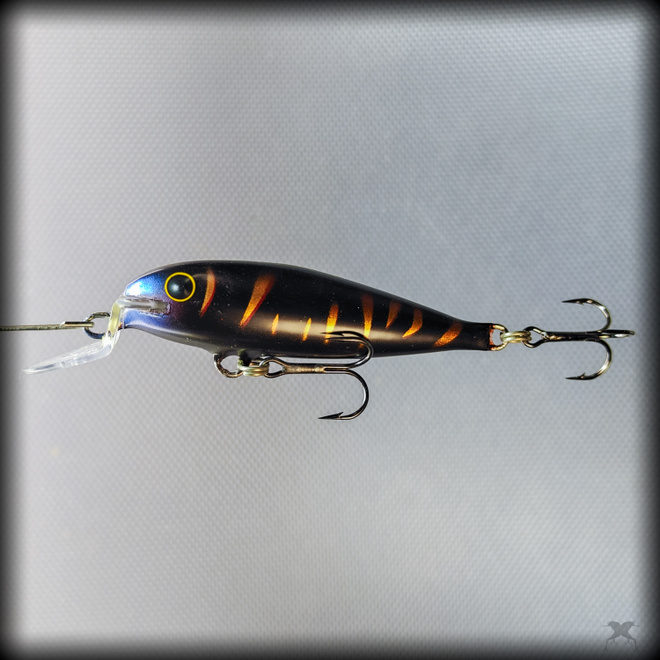 62mm Lohionki - Musta tiikeri