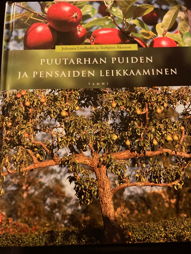 PUUTARHAN PUIDEN JA PENSAIDEN LEIKKAAMINEN