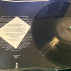 Rough Diamond 1977 LP - pikkukuva 3