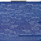Suomi 85 Itsenäisyyden puolustajat 2- CD - pikkukuva 2