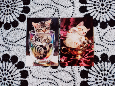 ~Kissa kortti~ 2kpl