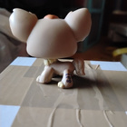 Chihuahua lps - pikkukuva 2