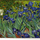 kortti ** Gogh Vincent van Luonnossa - erilaisia - pikkukuva 4