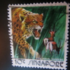 Singapore 1973: tiikeri - pikkukuva 1