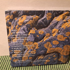Lieto:Paljasjaloin Barfota CD - pikkukuva 2