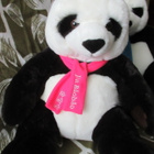 ÄHTÄRIN ELÄINPUISTO LUMI PANDA 43 CM - pikkukuva 1