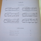 Liszt, CONSOLATIONS UND LIEBESTRÄUME, piano - pikkukuva 5