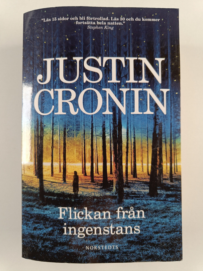 Flickan från ingenstans