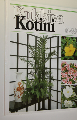 Kukkiva kotini 14/1989