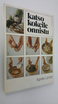 Agnete Lampe : Katso, kokeile, onnistu