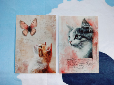 ~Kissa kortti~ 2kpl