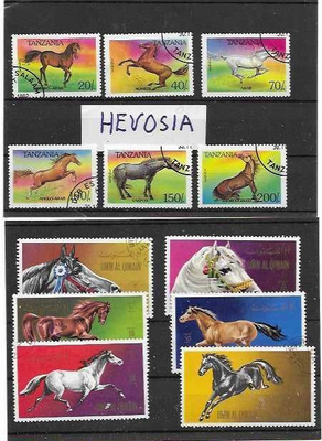 HEVOSIA 12 MERKILLÄ