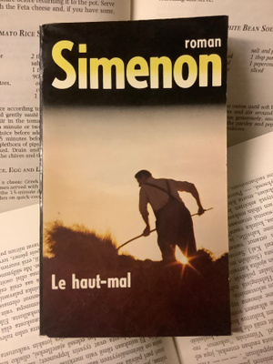Georges Simenon - Le haut-mal (livre de poche)
