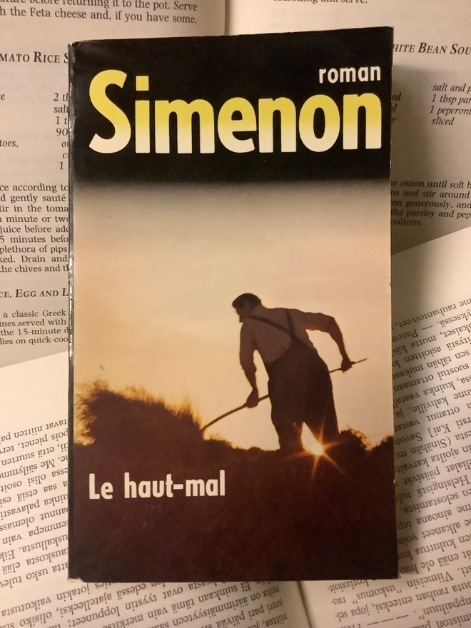 Georges Simenon - Le haut-mal (livre de poche)