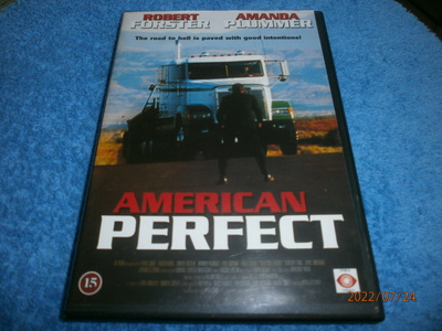 AMERICAN PERFECT   -  DVD