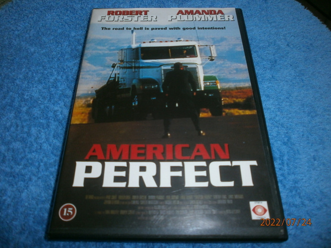 AMERICAN PERFECT   -  DVD