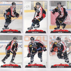 2017-18 Cardset Series 1 JYP Team Set 12 korttia (49-60) - pikkukuva 1