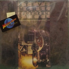 STEVE MORSE BAND - SOUTHERN STEEL - EU 1991 M-/M- LP - pikkukuva 1