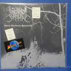 RAVENMOON SANCTUARY - BOREAL BLACKNESS SPIRITUALITY M/M LP - pikkukuva 1