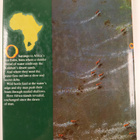 Peter Johnson : Okavango : sea of land, land of water - pikkukuva 2
