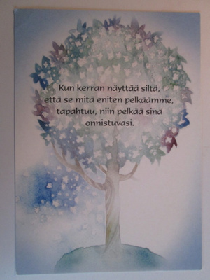 KULKEMATON POSITIIVARIT ANITA POLKUTIE