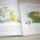 Stewart - Marlow Esikon iso askel - pikkukuva 4