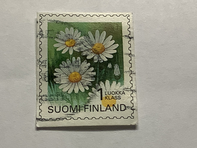 1291/ 1995 Päivänkakkara o leimattu