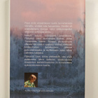 Liisa Paasikari-Salo : Kihlakengät tallella : suuriruhtin... - pikkukuva 2
