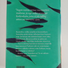 Helen Dunmore : Ingo : vuorovetten vartija - pikkukuva 2