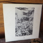 tom rapp (pearls before swine) lp: familiar songs reprise - pikkukuva 2