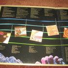 STEVIE WONDER - ORIGINAL MUSIQUARIUM I - 2LP - kokoelma - pikkukuva 3