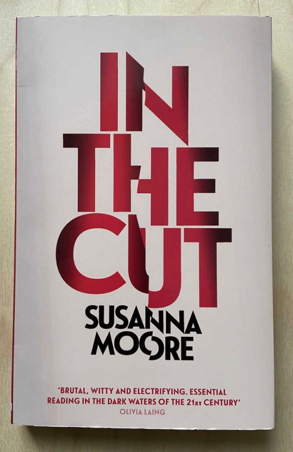 Susanna Moore - In the Cut pokkari / kirja