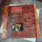 Skädäm - Mustat Joutsenet LP + 7" & Promojuliste - pikkukuva 2