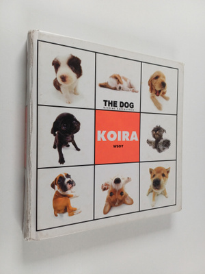 Koira