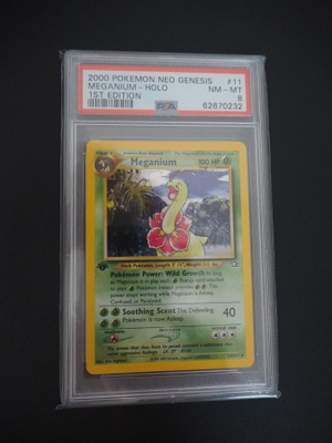 Pokemon kortti Meganium 1st edition Neo genesis PSA 8