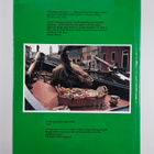 Giuliano Bugialli : The Taste of Italy - pikkukuva 2
