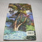 Maeve Binchy Ystävyyden piiri -sid - pikkukuva 2