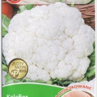 Kukkakaali - "Igloo" pelletoidut siemenet 12.2024 -70%!!!! # - pikkukuva 1
