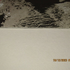 *LP* GRAHAM PARKER Heat Treatment - pikkukuva 3