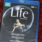 LIFE - ELÄVÄ PLANEETTA - 4BLU-RAY - BBC - pikkukuva 1