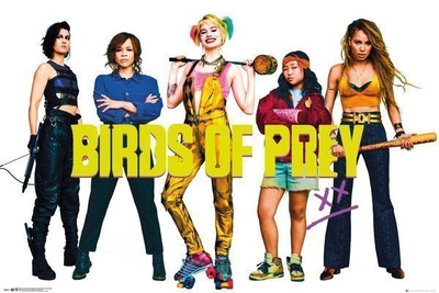 BIRDS OF PREY GROUP POSTER	(60 582)	juliste 61x 91cm