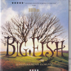 Big Fish (Tim Burton, DVD K11) - pikkukuva 1
