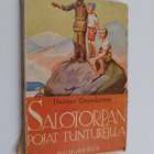 Helmer Grundström : Salotorpan pojat tuntureilla - pikkukuva 1