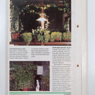 Kukkiva kotini 2/1986 - pikkukuva 2